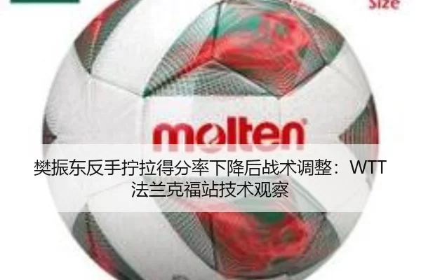 樊振东反手拧拉得分率下降后战术调整：WTT法兰克福站技术观察